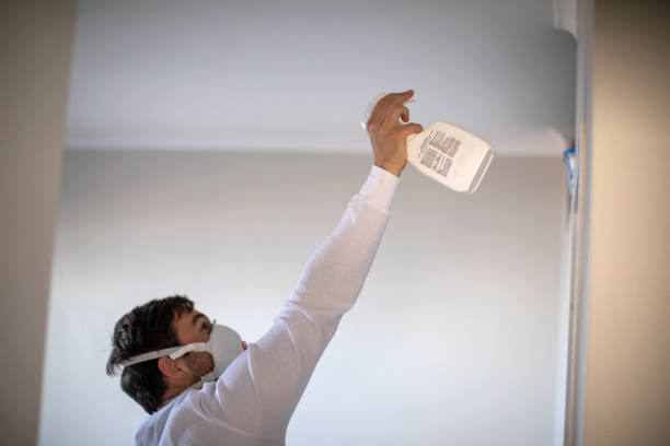 Best White Mold Remediation in Brookville, NY